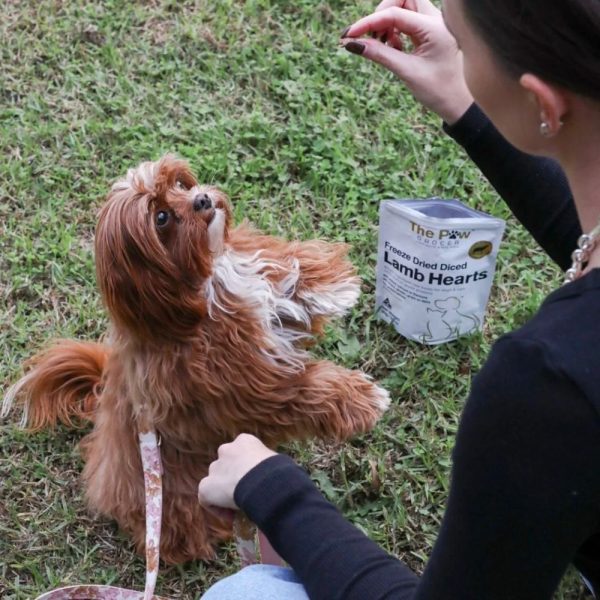 Australian Made Dog Treats, The Paw Grocer Dog Food